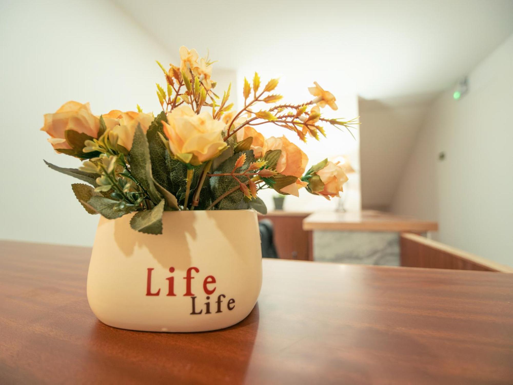 Residencial Liviamilena Santa Maria Apartment Ngoại thất bức ảnh